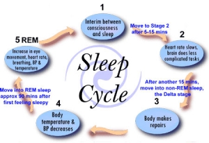 SLEEP MEDICINE - Mid State Pulmonary - Pulmonary and Sleep Medicine ...